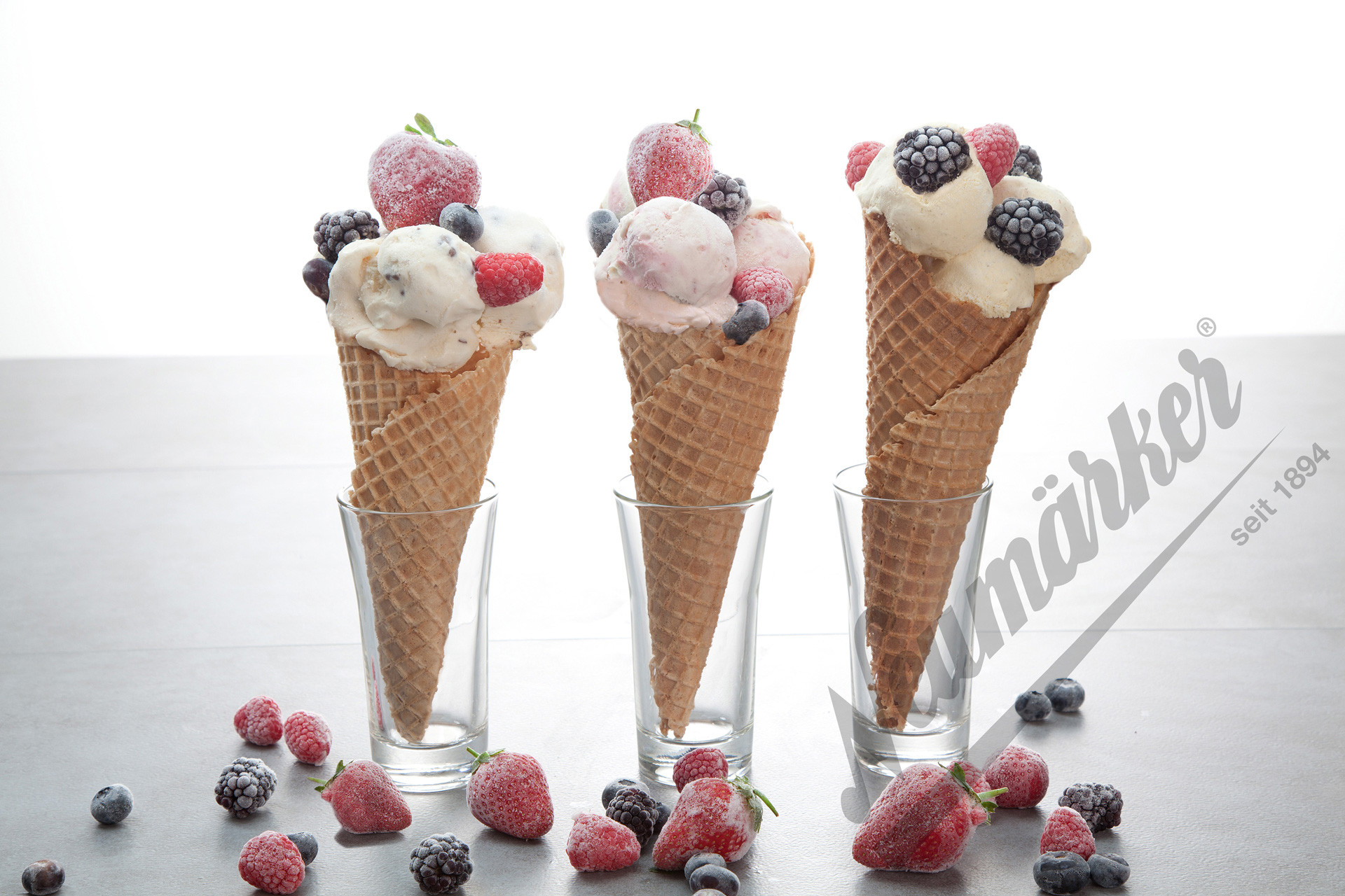 Neumärker Eis Backplattensatz - für Backsystem & Thermocook