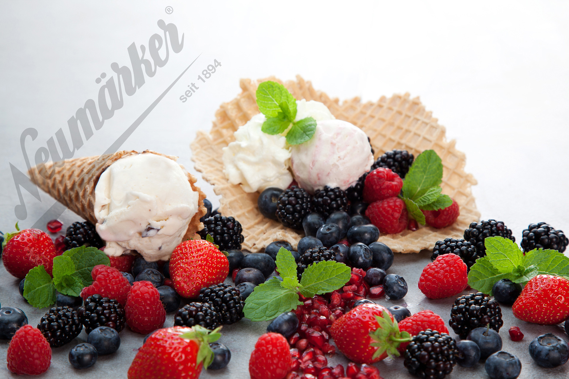 Neumärker Eis Backplattensatz - für Backsystem & Thermocook