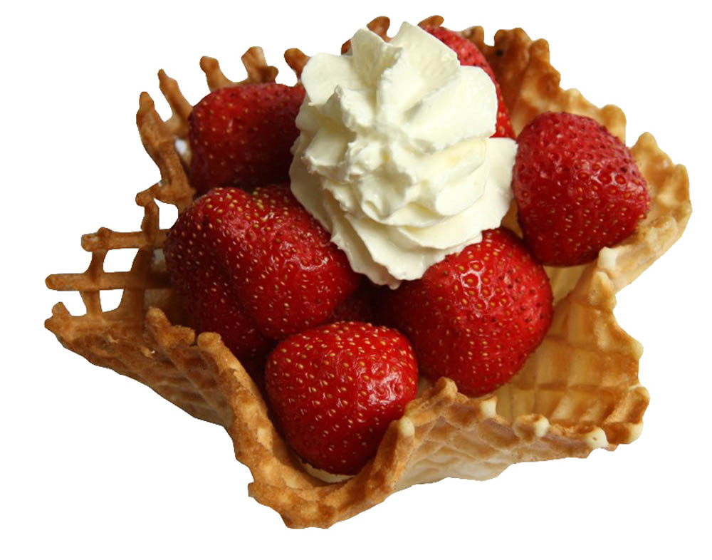 Neumärker Eis Backplattensatz - für Backsystem & Thermocook